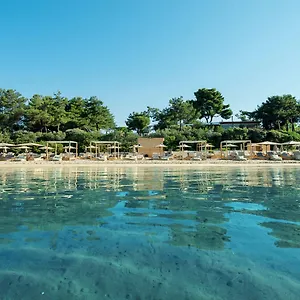 https://trikorfo-beach.hotelschalkidiki.net